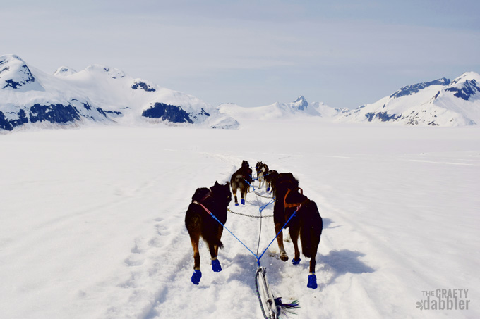 Through My Lens | Alaska