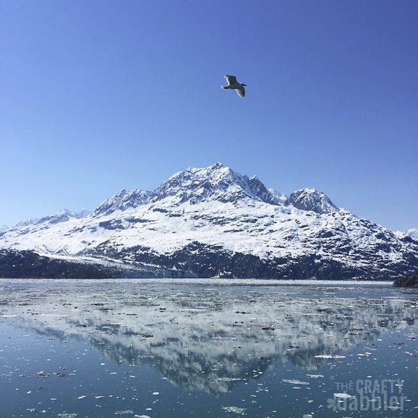 Through My Lens | Alaska